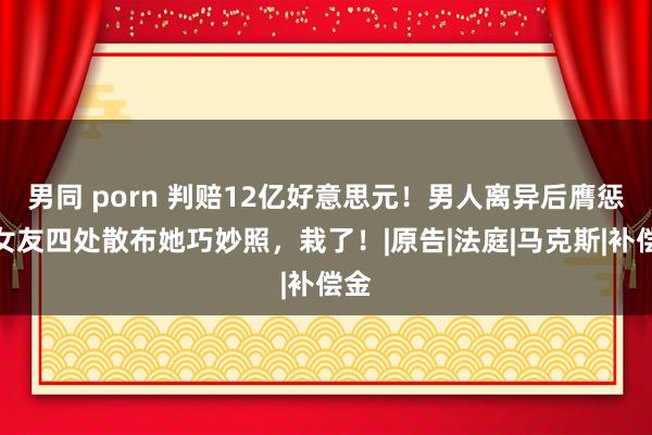 男同 porn 判赔12亿好意思元！男人离异后膺惩前女友四处散布她巧妙照，栽了！|原告|法庭|马克斯|补偿金