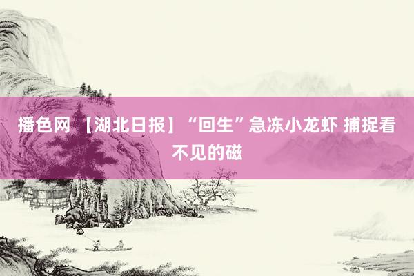 播色网 【湖北日报】“回生”急冻小龙虾 捕捉看不见的磁