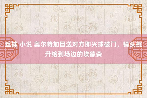 丝袜 小说 奥尔特加目送对方即兴球破门，镜头挑升给到场边的埃